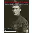 American Lions: The 332nd Infantry Regiment in Italy in World War I