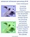 Miniature Schnauzer Grooming DVD Video Mini Schnauzers