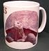 TORTOISE MUG NEW