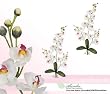 TWO 30" Phalaenopsis Orchid Artificial Silk Flower Bendable Sprays