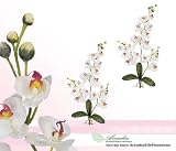 TWO 30" Phalaenopsis Orchid Artificial Silk Flower Bendable Sprays