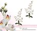TWO 30" Phalaenopsis Orchid Artificial Silk Flower Bendable Sprays