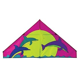 Go Fly A Kite Dolphins 4.5 Kite by Go Fly A Kite
