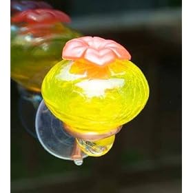 Bird Brain Inc 15619 Glass Window Hummingbird Feeder