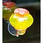 Bird Brain Inc 15619 Glass Window Hummingbird Feeder