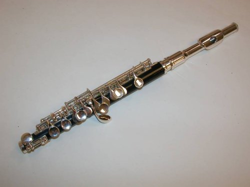 Rossetti Black Body/Silver Keys Piccolo, Case, Student