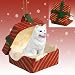 A Perfect Christmas Gift to Surprise Someone 41ruqf0wBtL. SL75 A Perfect Christmas Gift to Surprise Someone