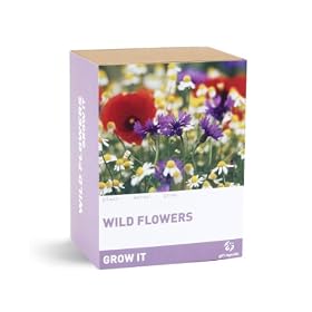 Gift Republic: Grow It., Grow Your Own Wild Flowers