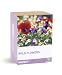 Gift Republic , Grow It , Grow Your Own Wild Flowers