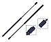 2 Pieces (SET) Tuff Support Rear Hatch Lift Supports 2012 To 2014 Hyundai Accent
