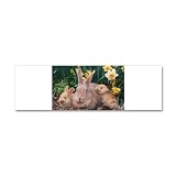 42 x 14 Wall Vinyl Sticker Spring Easter Rabbits