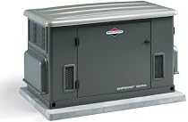 Briggs & Stratton 40228 20,000 Watt Home Standby Generator System Natural Gas Version