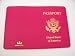 Baekgaard New United States Passport Cover From the Colorful Leather Collection - Aza...