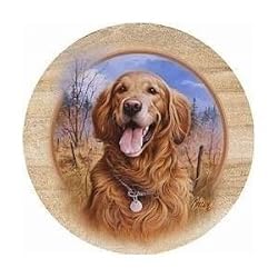 Set of 4 Sandstone Coasters - Killen's Golden Retriever