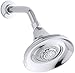 KOHLER Forté 2.5 gpm multifunction wall-mount showerhead