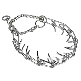 Spiked Training Collar - Small