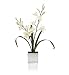 (01614503) Artificial Mini Orchid in Square Mirror Glass Vase in Household & Kitchen
