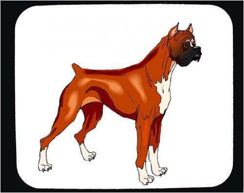 image link - - B000T5STCM
