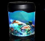 イルミネーション 循環ポンプ 卓上 クラゲ 水族館 イルミニウム イルミネーション 循環ポンプ 卓上 クラゲ 水族館 イルミニウム