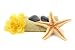 Spa Towel, Rocks, Flower and Starfish - 60