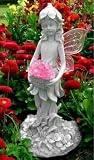 Solar Powered Frayer Fairy