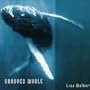 Grooved Whale