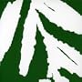 Green Ep