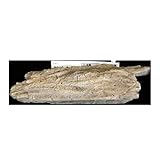 ���i�̏ڍ�