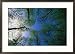 Deciduous Forest in Spring,, Sweden Scenic Framed Photographic Poster Print by Anders Blomqvist, 29x21