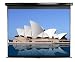 Elite Screens Manual Pull Down Projection Screen, 16:9 Aspect Ratio-106in (Matte White) Elite Screens Manual Pull Down Projection Screen, 16:9 Aspect Ratio-106in (Matte White)