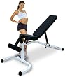 Deltech Fitness Flat / Incline / Decline Dumbbell Bench