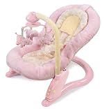Summer Infant Deluxe Soft Embrace Comfort Bouncer