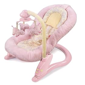 Summer Infant Deluxe Soft Embrace Comfort Bouncer