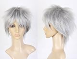 Cosplayland - Short Hair silver grau Vampire Knight Zero Cosplay Party Wig