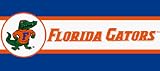 NCAA Florida Gators 7 Wallpaper Border **