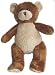 Buddy Bear Asthma Friendly