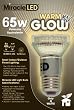 65w Equivalent Bulb 65w Equivalent Bulb
