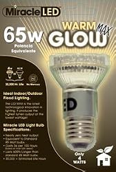 65w Equivalent Bulb