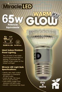 65w Equivalent Bulb