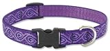Jelly Roll - Lupine Adjustable Collars Medium 3/4 in. x 12 in. - 20 in.