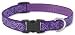 Jelly Roll - Lupine Adjustable Collars Medium 3/4 in. x 12 in. - 20 in.