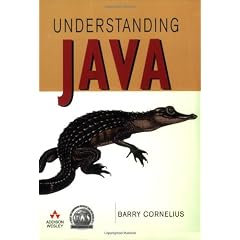Understanding Java