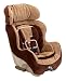 Baby : The First Years True Fit Convertible Car Seat - Chocolate