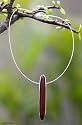 Cedar choker, 'Forest Fascination'