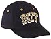 Pittsburgh Panthers Infant One-Fit Hat