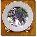 Schnauzer - 8 Inch Porcelain Plate
