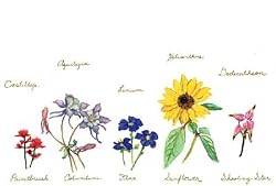 Florabella - Fresh, Original Design on a Pure Cotton Kitchen Towel