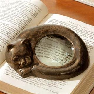 Cat Magnifier