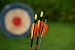 Archery Arrows and Target on a Green Background - 48