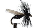 1 x Mouche s�che fran�aise - FORUMI N...